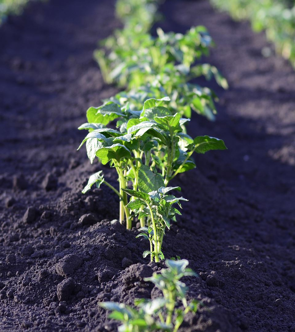 Farm Products
